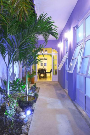 Casa Violeta